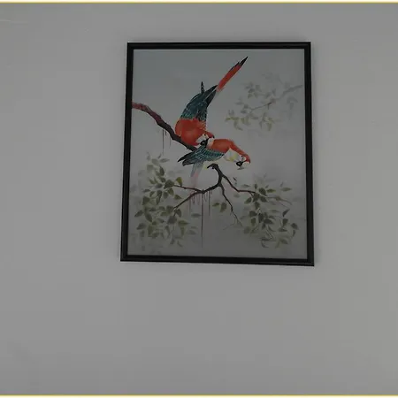 Zauberhaft * Bad Soden-Salmünster