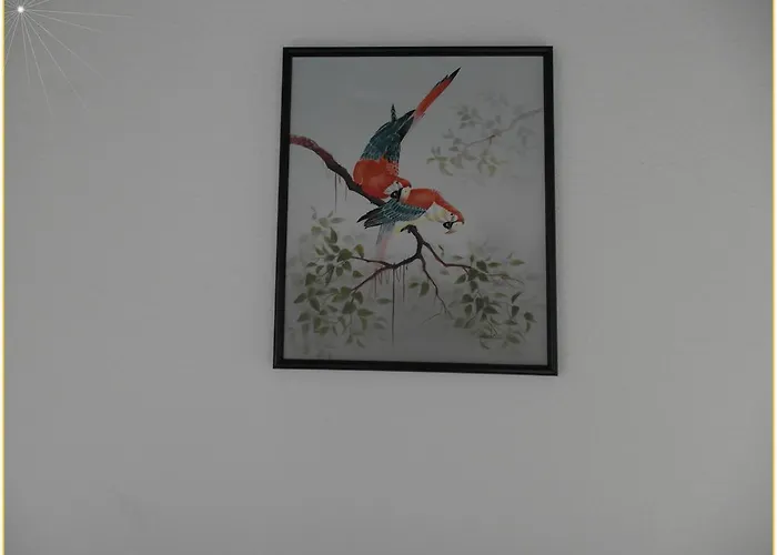 Zauberhaft * Bad Soden-Salmünster